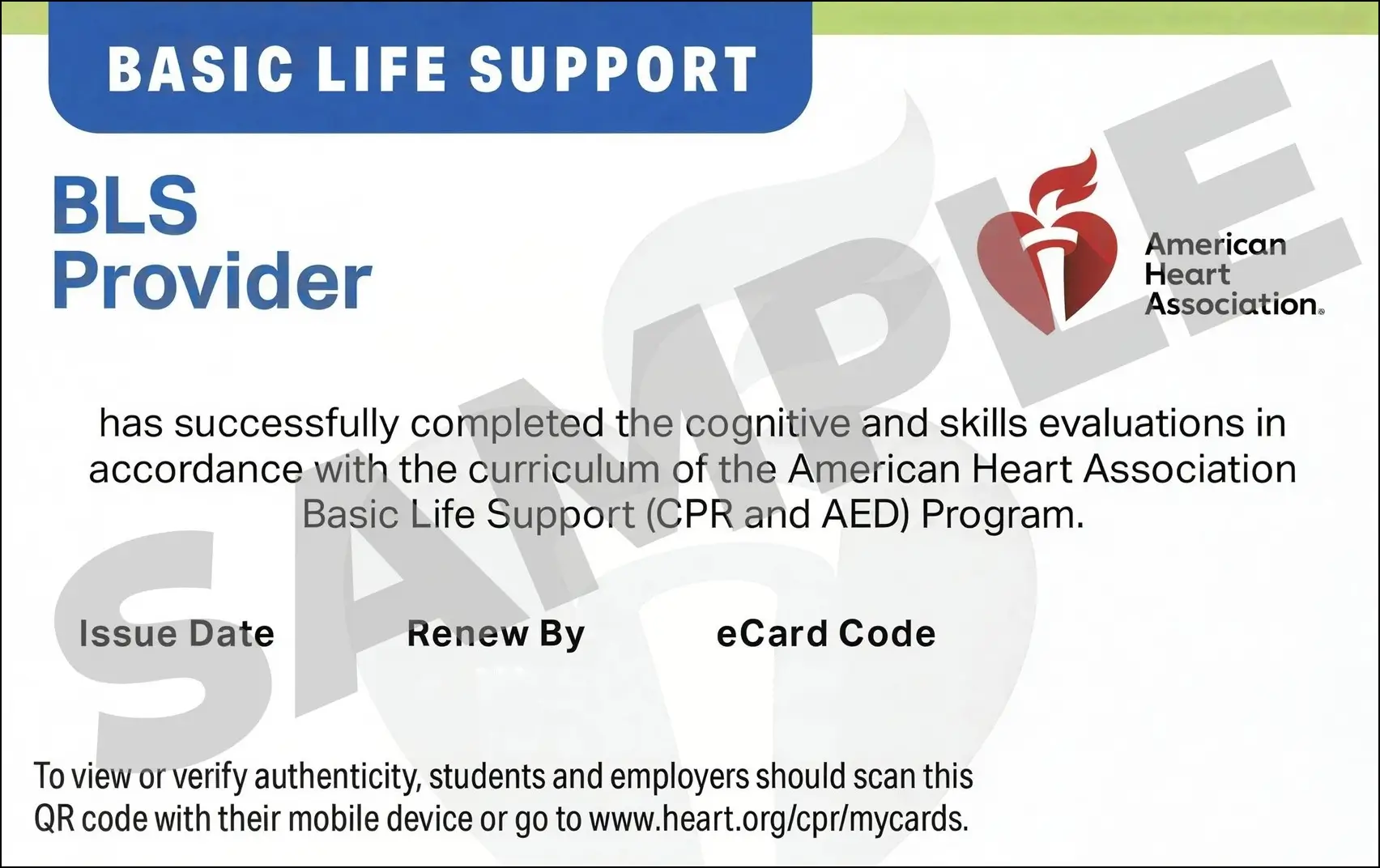Sample American Heart Association AHA BLS CPR Card Certification from CPR Certification Durham